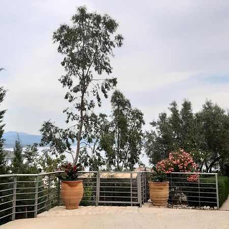 Stone House In Olive Grove Villa Toló Kültér fotó