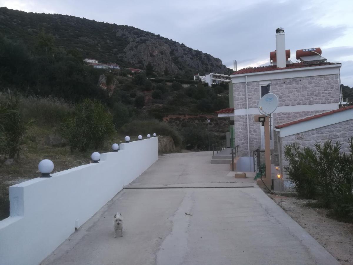 Stone House In Olive Grove Villa Toló Kültér fotó