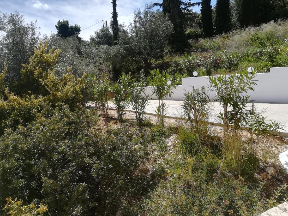 Stone House In Olive Grove Villa Toló Kültér fotó
