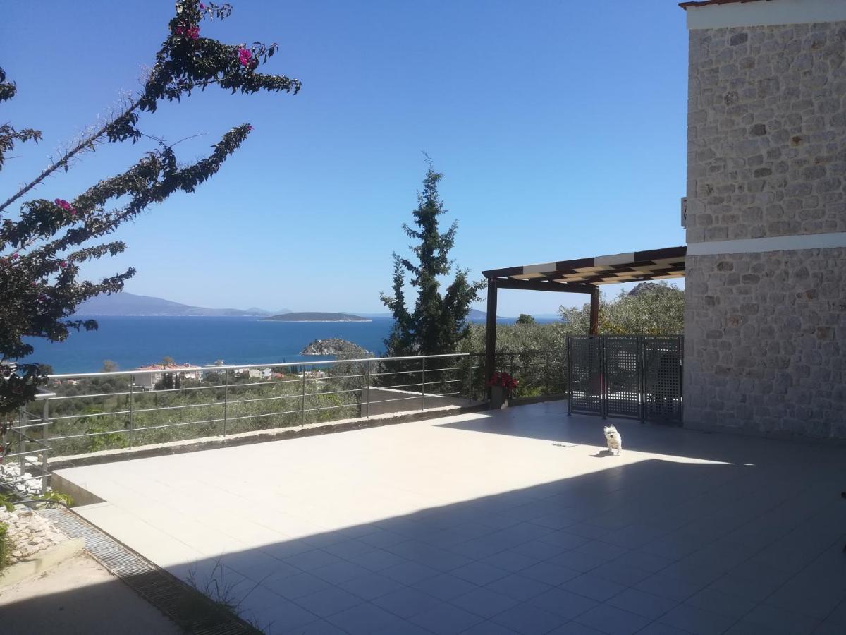 Stone House In Olive Grove Villa Toló Kültér fotó