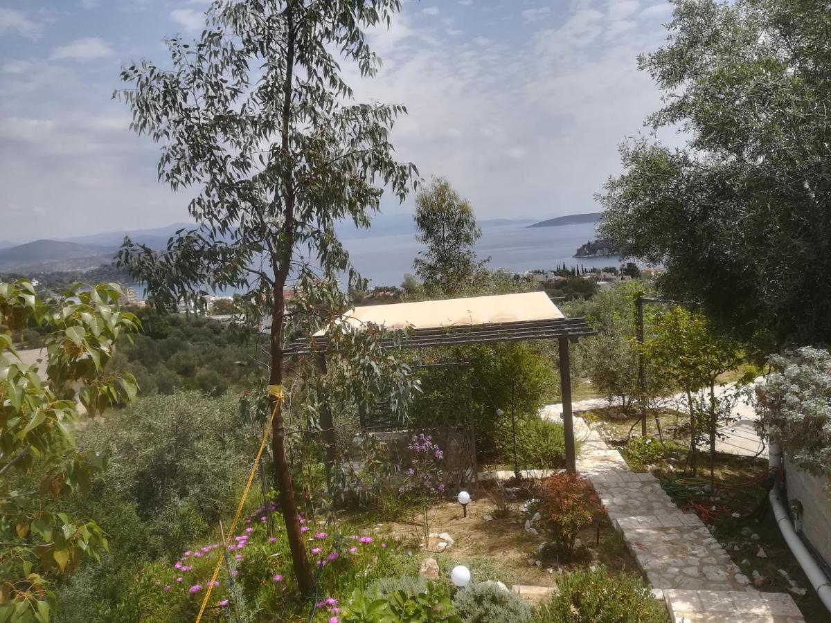 Stone House In Olive Grove Villa Toló Kültér fotó
