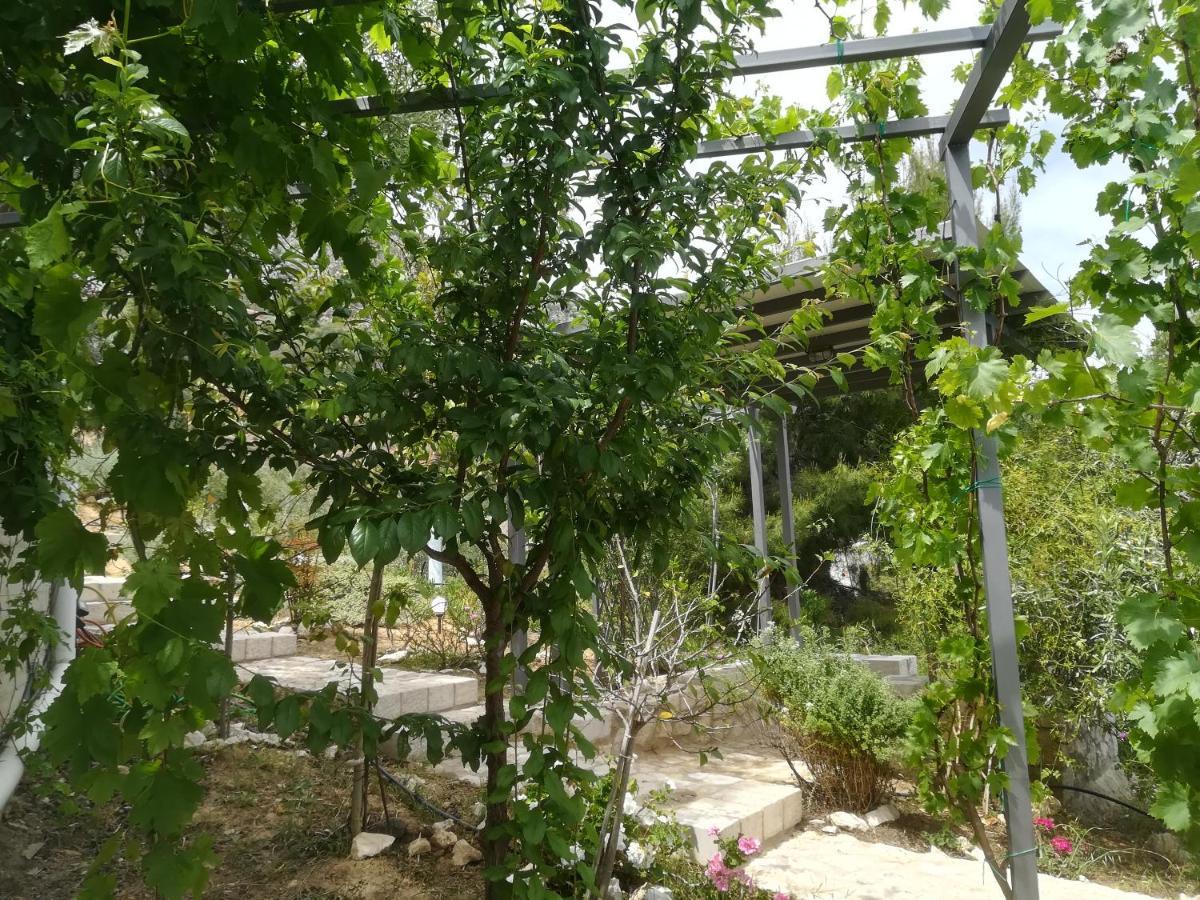 Stone House In Olive Grove Villa Toló Kültér fotó