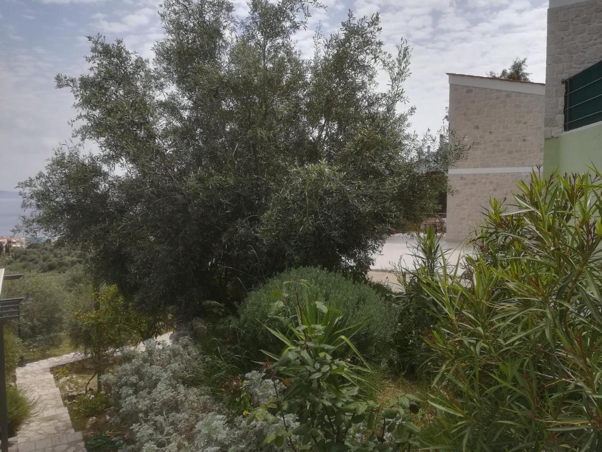 Stone House In Olive Grove Villa Toló Kültér fotó