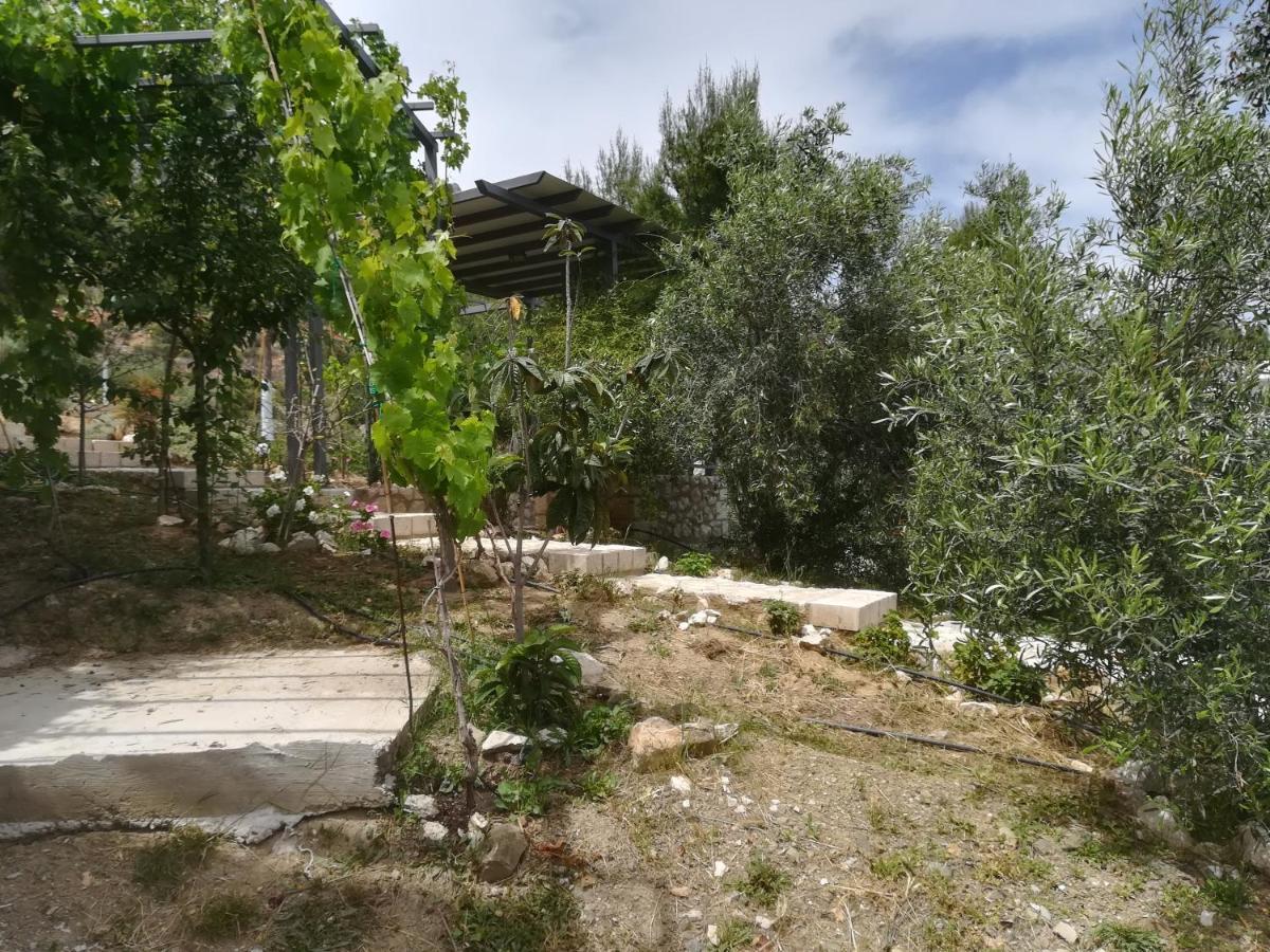 Stone House In Olive Grove Villa Toló Kültér fotó
