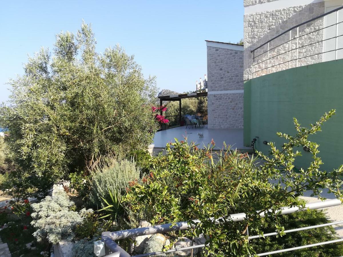 Stone House In Olive Grove Villa Toló Kültér fotó