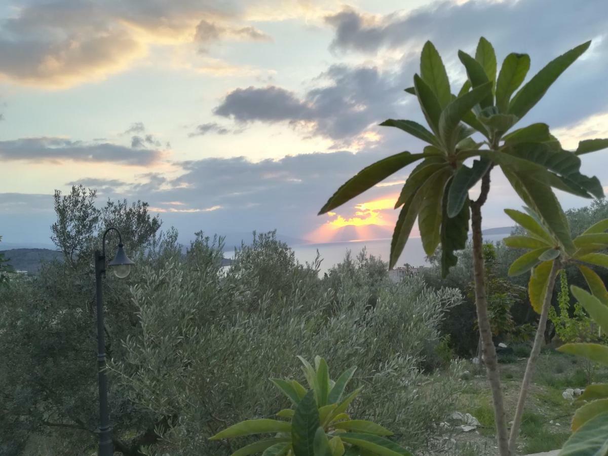 Stone House In Olive Grove Villa Toló Kültér fotó