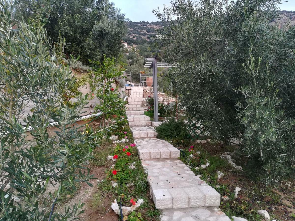Stone House In Olive Grove Villa Toló Kültér fotó