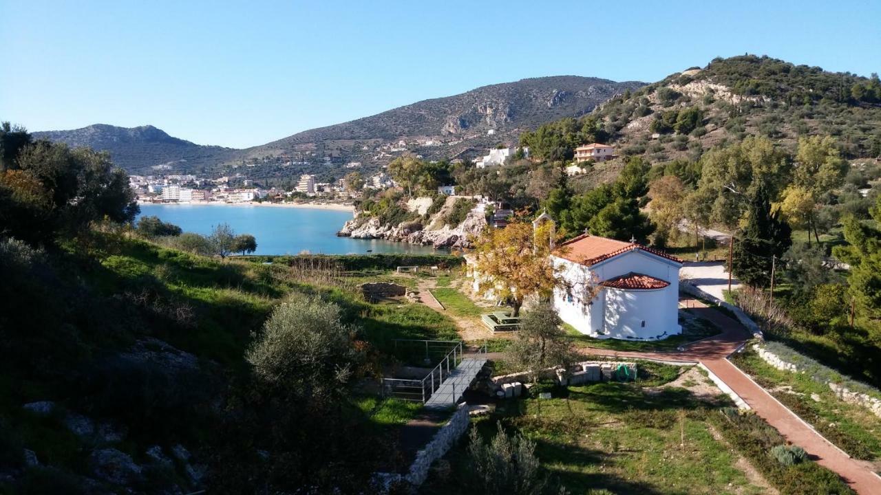 Stone House In Olive Grove Villa Toló Kültér fotó